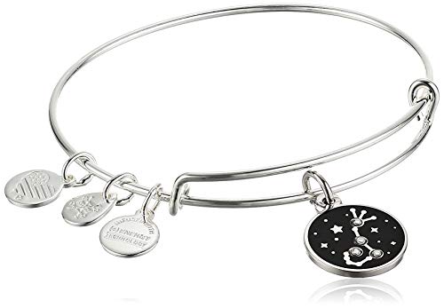 Alex and Ani Team USA Track Field Charm Bangle - Silver